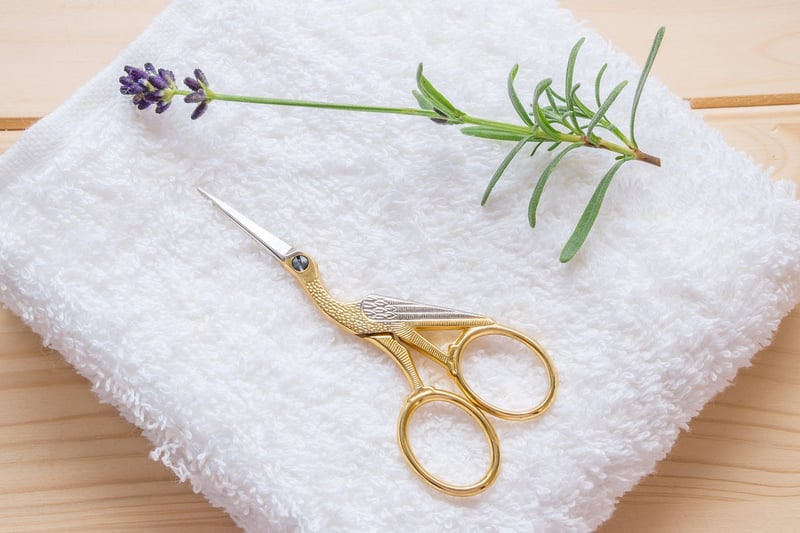 Faerie Garden Scissors